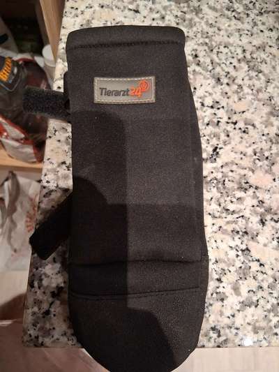 Hundesocke draußen-Beitrag-Bild