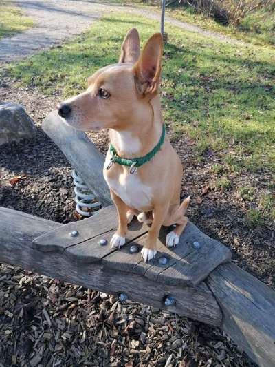 Leute aus Oberbayern?-Beitrag-Bild