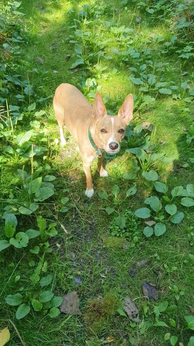 Leute aus Oberbayern?-Beitrag-Bild