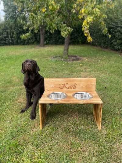 %{de_profession_title}-Futterbar Größe L-Bild