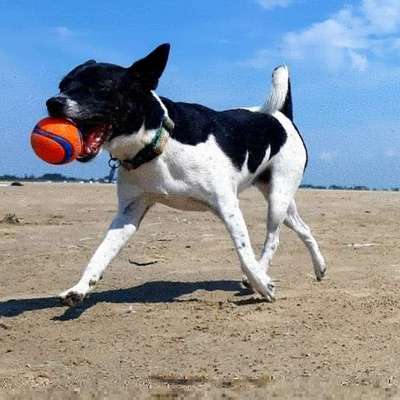 Fotochallenge 37- Sommerfeeling-Beitrag-Bild