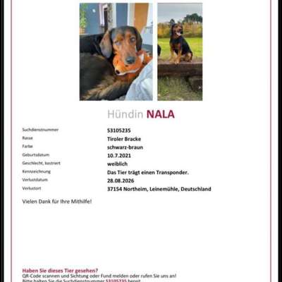 Suchmeldung-Nala-Bild