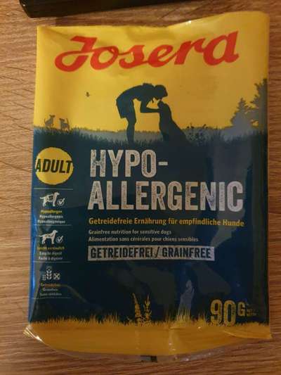 Futter Unverträglichkeit-Beitrag-Bild