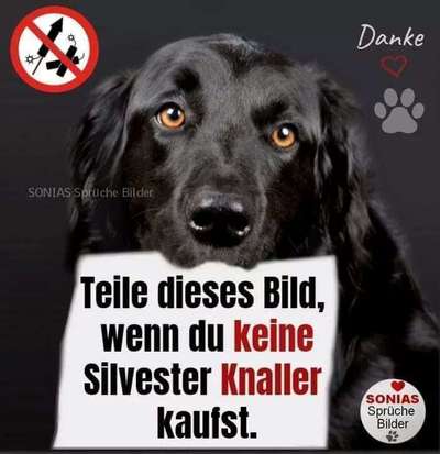 Silvester-Beitrag-Bild