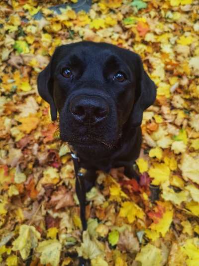 Fotochallange Nr. 57     PORTRÄT.   Beendet!!!!!!!!-Beitrag-Bild