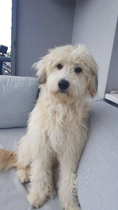 Doppelgänger gesucht !-Beitrag-Bild