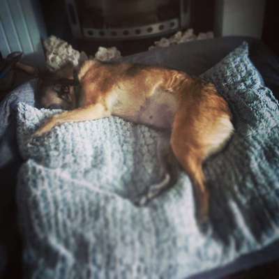 IBD frisch diagnostiziert-Beitrag-Bild