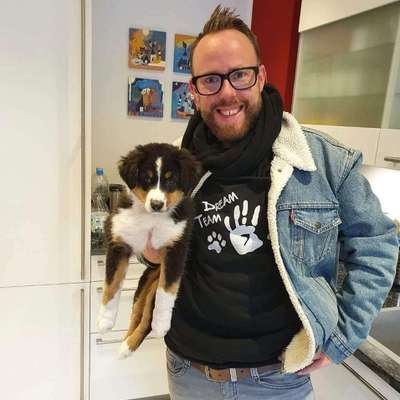 Hundetreffen-Zusammen spazieren gehen