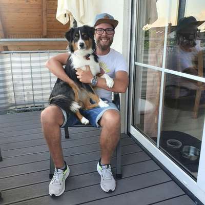 Hundetreffen-Zusammen spazieren gehen