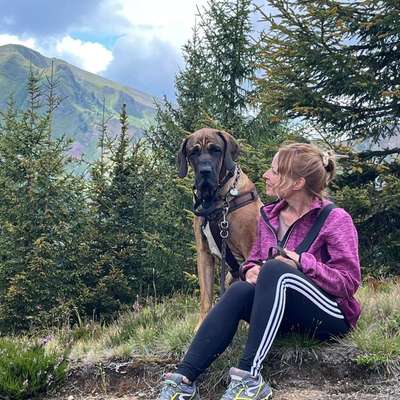 Hundetreffen-Spielpartnerin, spazieren gehen-Bild