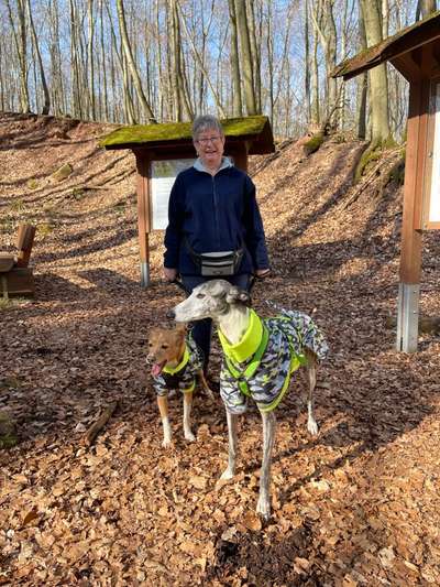 Windhunde - Treffen der besonderen Schönheiten
HERZLICH WILLKOMMEN-Beitrag-Bild