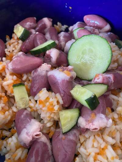 Zeigt her Eure Futternäpfe-Beitrag-Bild