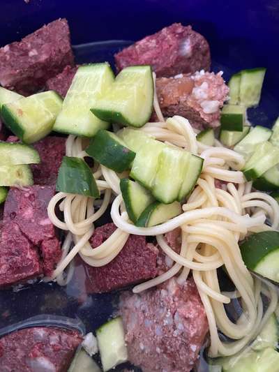 Zeigt her Eure Futternäpfe-Beitrag-Bild