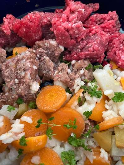 Zeigt her Eure Futternäpfe-Beitrag-Bild