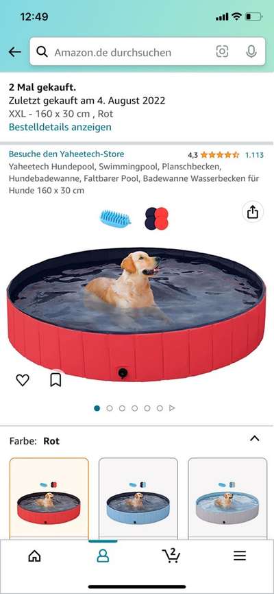 Erfahrungen mit Hundepool-Beitrag-Bild