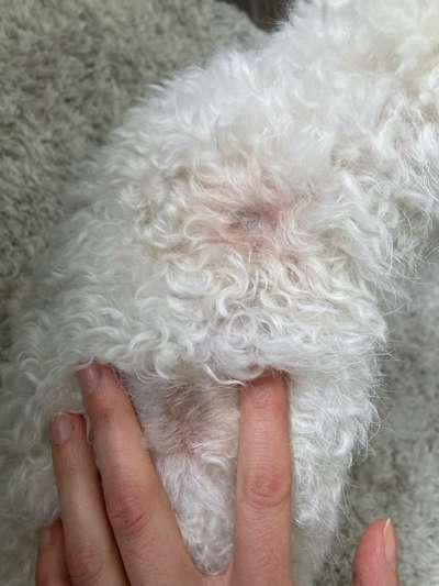 Tales&Tails Meinungen & Erfahrungen-Beitrag-Bild