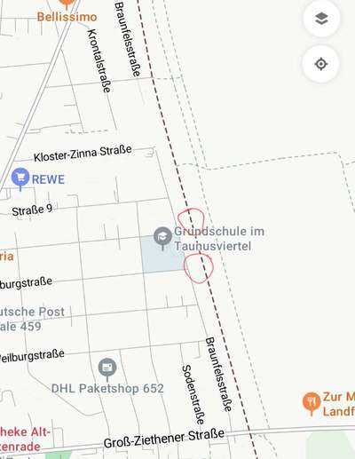 Giftköder-Weißes Pulver (Verdacht Xylit)-Bild