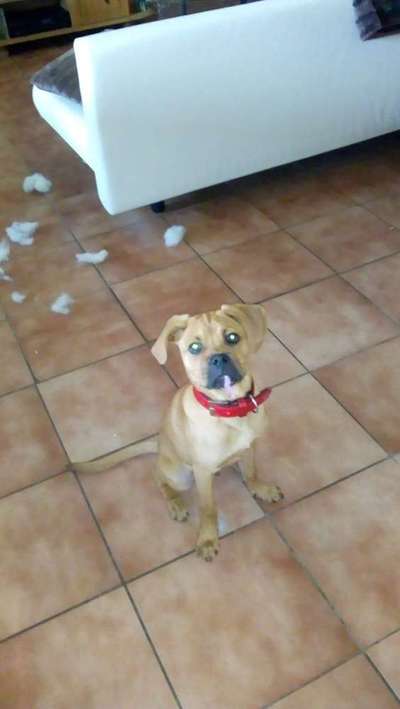 Lieblings Schnappschuss?-Beitrag-Bild