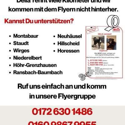 Suchmeldung-Delia-Bild