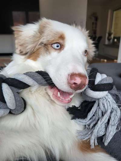 Zeigt eure Portraits-Beitrag-Bild