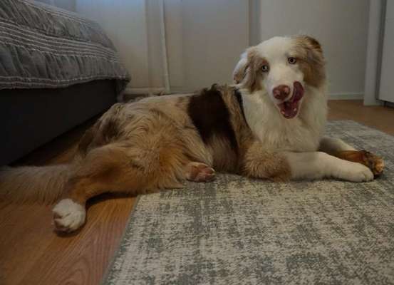 18. Collagen Challenge - Zunge raus!-Beitrag-Bild