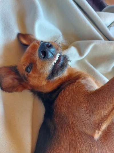 Lustige Grimassen & verrückte Posen-Beitrag-Bild