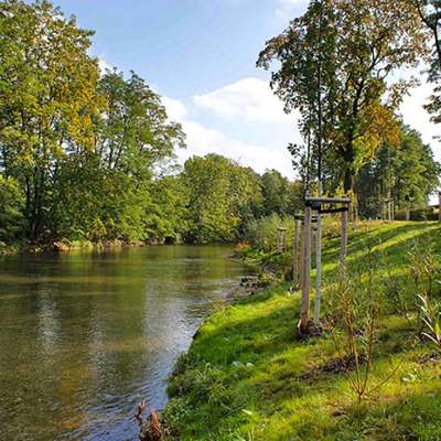 Hundetreffen-Ein Spaziergang in Park/am Fluss-Bild