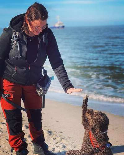 Dogorama Photo Challenge - Der Frühling kommt-Beitrag-Bild