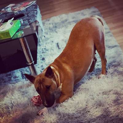 Lieblingsbild-Beitrag-Bild