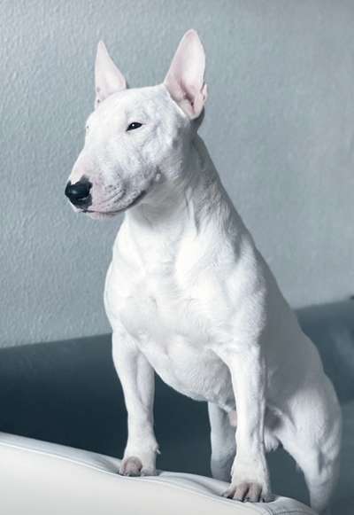 Lieblingsbild-Beitrag-Bild