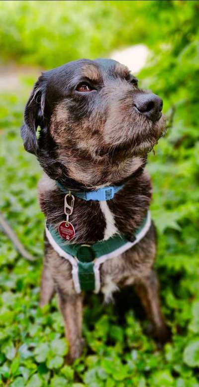 Ist das ein...?-Beitrag-Bild