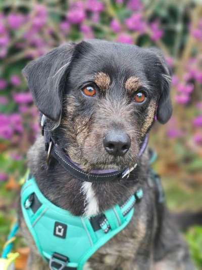 Freddys Kummerkasten-Beitrag-Bild