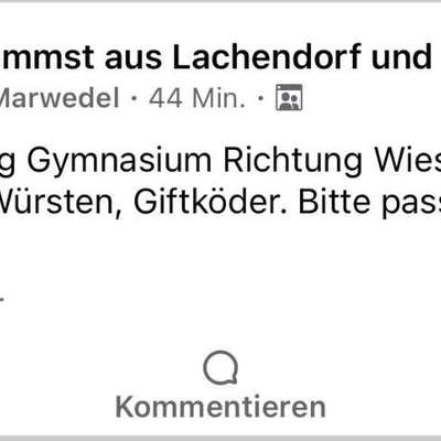 Giftköder-Giftköder Würstchen-Bild