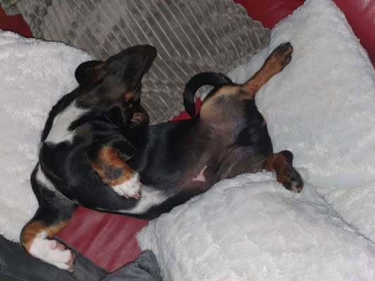 Die unbequemsten und lustigsten Schlafpositionen-Beitrag-Bild