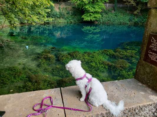 Dogorama Foto Challenge - Wanderziel-Beitrag-Bild