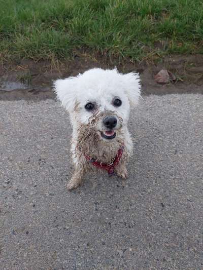 Foto Challenge Nr.133-Beitrag-Bild