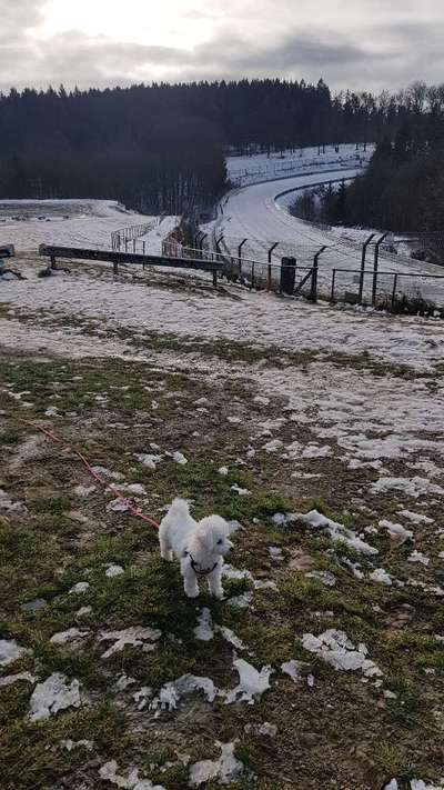 Dogorama Photo Challenge - Es wird nochmal kalt!-Beitrag-Bild