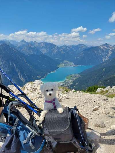 Fotochallenge Nr 107-Beitrag-Bild