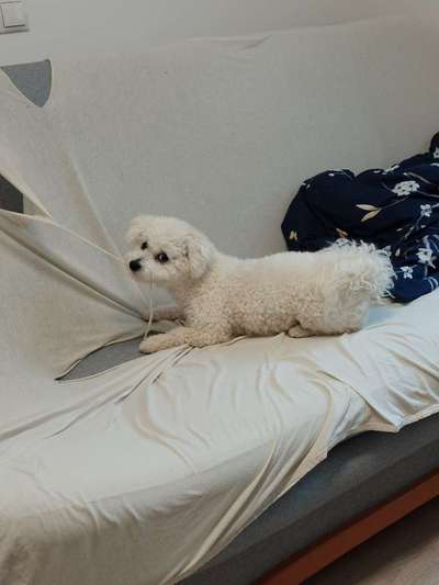 Handy-Foto Challange Nr. 12-Beitrag-Bild