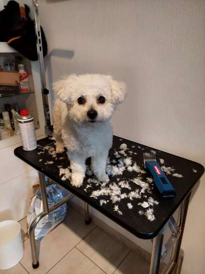 22. Handy Foto - Challenge-Beitrag-Bild