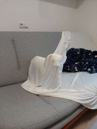 Fotochallenge 113: Auf frsicher Tat ertappt-Beitrag-Bild