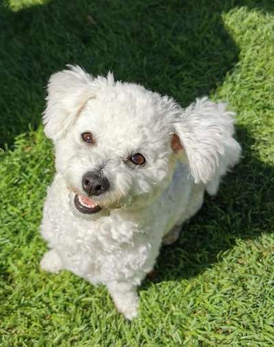 Was können eure Ohren so? ;)-Beitrag-Bild