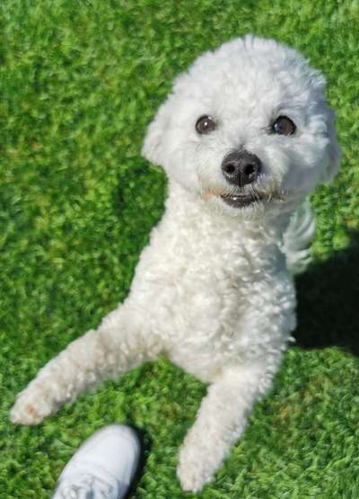 Handy-Foto Challange Nr. 10-Beitrag-Bild