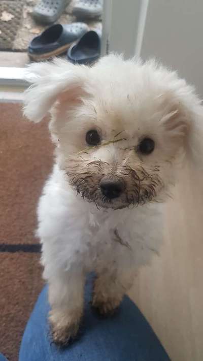 Zeigt mir doch mal eure Dreckspätze-Beitrag-Bild