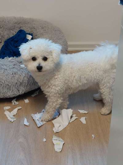 15. Handyfoto Challenge - Indoor Aktivitäten-Beitrag-Bild