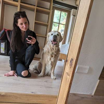 Hundetreffen-Gassirunde in Gerlingen