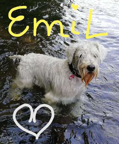 Foto Challenge - BEENDET - bitte aktuelle Challenge nutzen-Beitrag-Bild