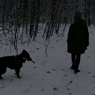 Nori's Profilbild