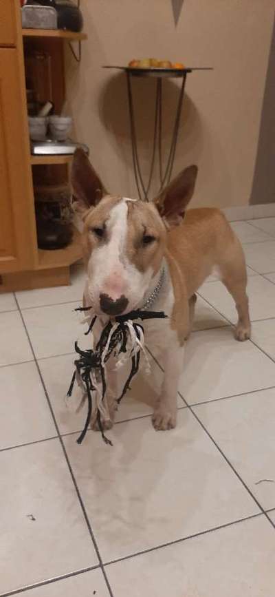 Lieblingsbild-Beitrag-Bild