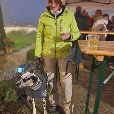 aktuelles Foto Gruppe Wiesbaden und Umgebung mit Hund